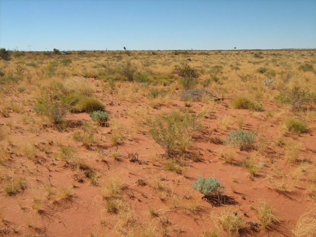 View to east of confluence