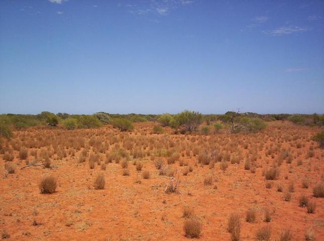 Looking west