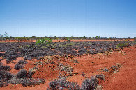 #3: View East
