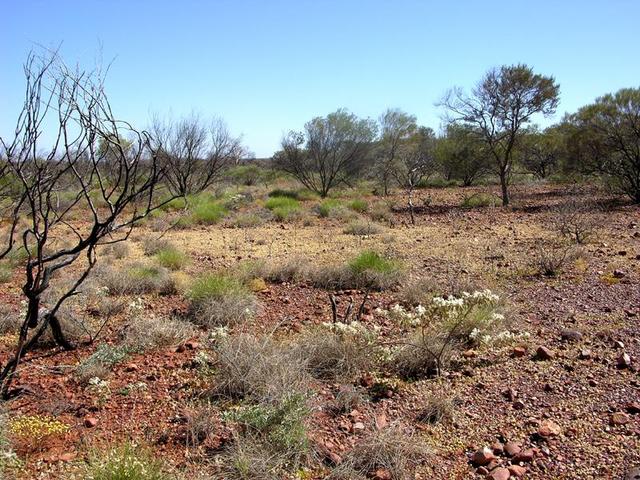 View from the confluence looking north.