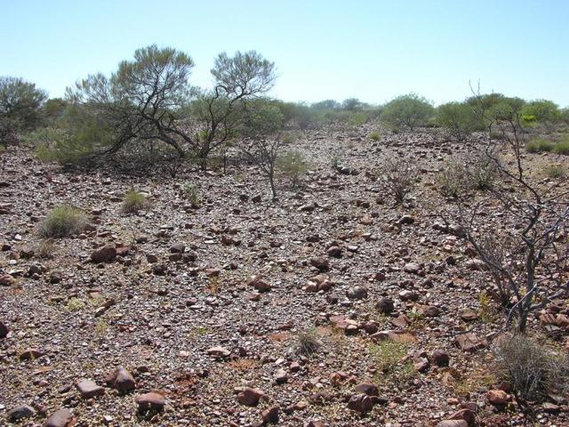 View from the confluence looking east