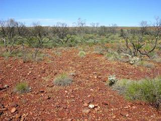 #1: View of the confluence looking south west.