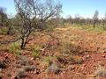 #4: View from the confluence looking south