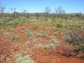 #5: View from the confluence looking west