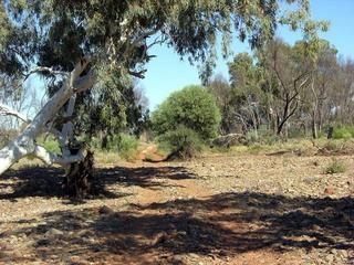 #1: The track crosses Kangaroo Creek, about 7.4km south of the confluence.