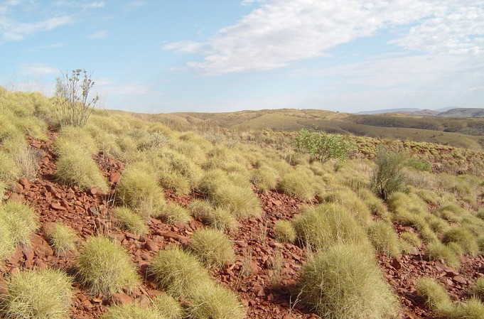 North landscape view