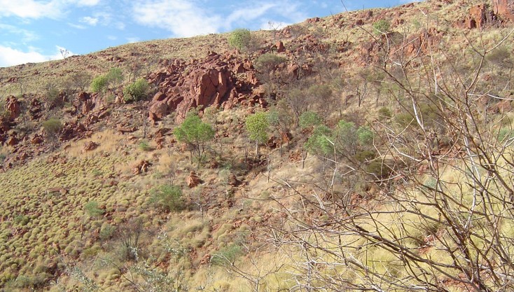 South landscape view