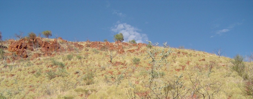 West landscape view