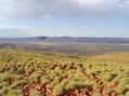 #8: Looking SSW away from confluence point (125m above and 300m SSW of point)