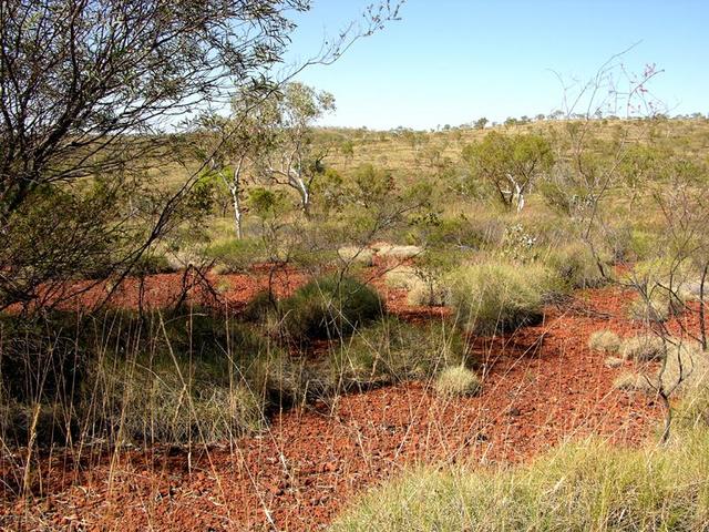 View of the confluence looking north east.