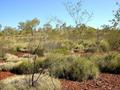 #4: View from the confluence looking south