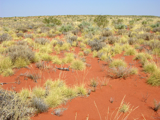 #1: View of the confluence looking south west.