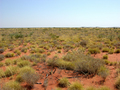 #2: View from the confluence looking north