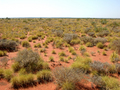 #3: View from the confluence looking east