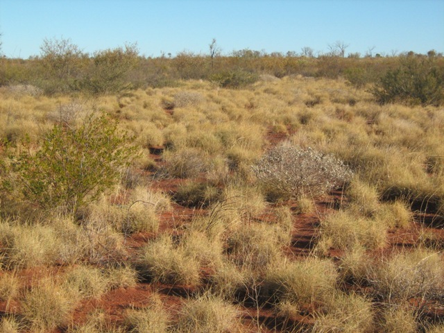 View to south of confluence