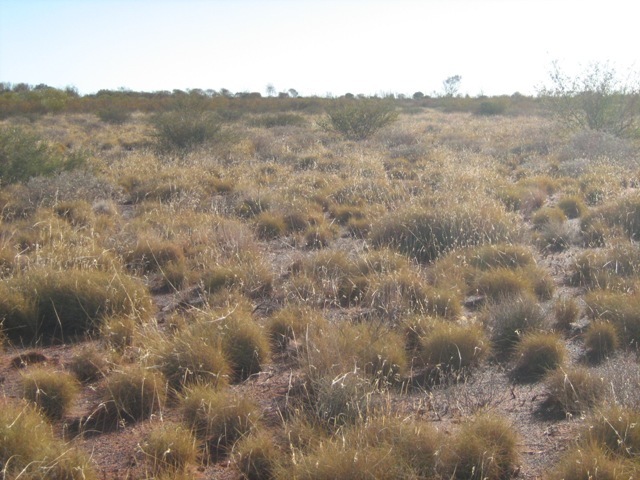 View to west of confluence