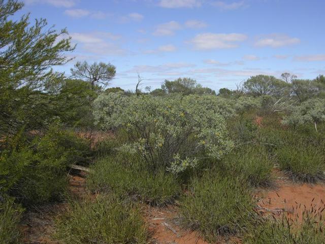 View from the confluence, looking south