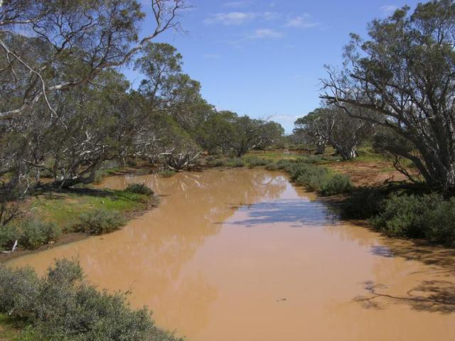 The flooded creek