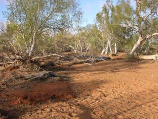 #1: View of the confluence looking south