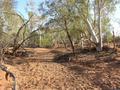 #2: View from the confluence looking north