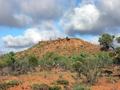 #7: The nearby Kurrakootarrow Hill