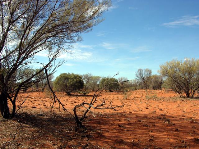 View from the confluence looking north