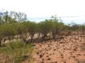 #5: View from the confluence looking west