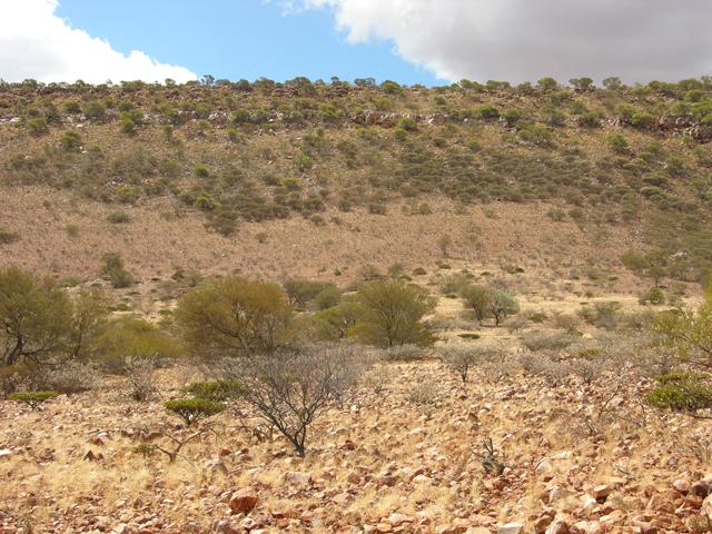 View of the confluence looking north