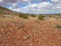 #3: View from the confluence looking east