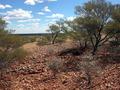 #5: View from the confluence looking west