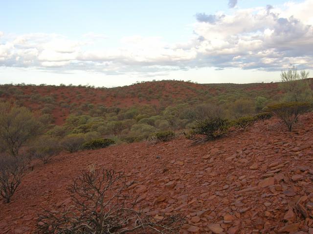 View from the confluence looking east