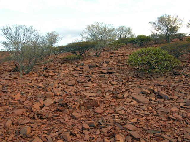 View from the confluence looking south