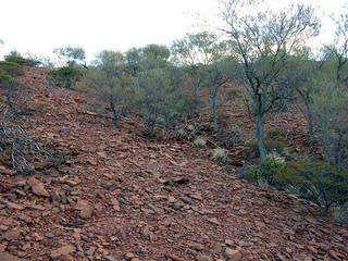 #1: View of the confluence looking east