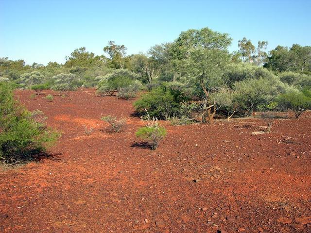 View of the confluence looking south-east