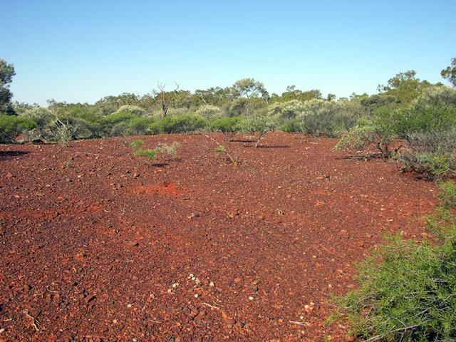 View from the confluence looking east