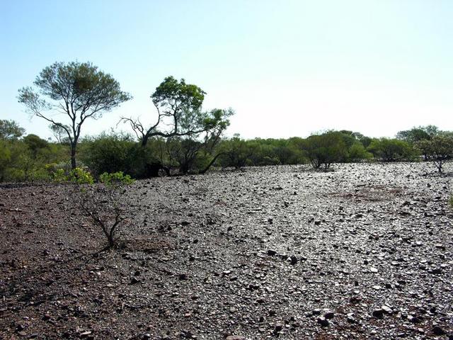 View from the confluence looking west