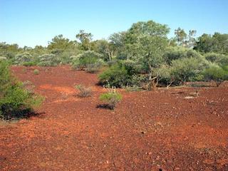 #1: View of the confluence looking south-east