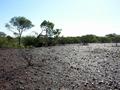 #5: View from the confluence looking west