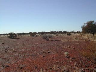 #1: Confluence looking north