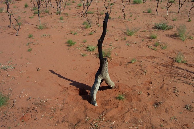 Stake to mark the spot