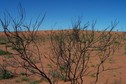 #4: Confluence looking South