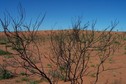 #4: Confluence looking South