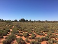 #4: View to East
