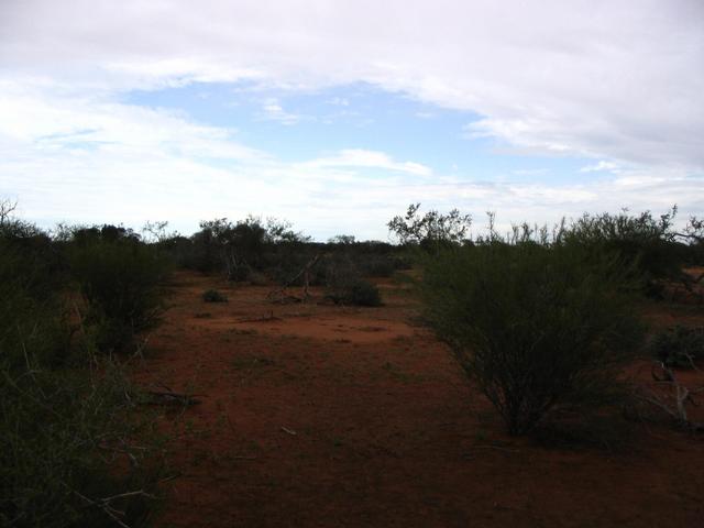 Looking west 40m to confluence