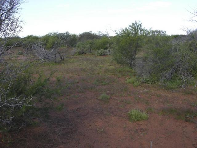 View of the confluence, looking east