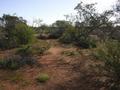 #5: View from the confluence, looking west