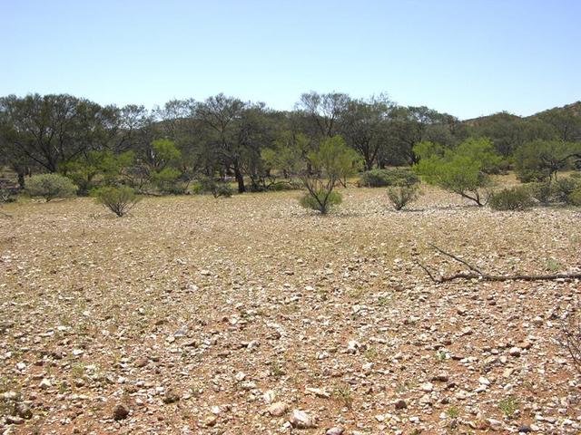 View from the confluence looking north