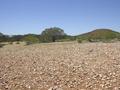 #3: View from the confluence looking east