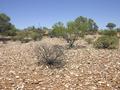 #4: View from the confluence looking south