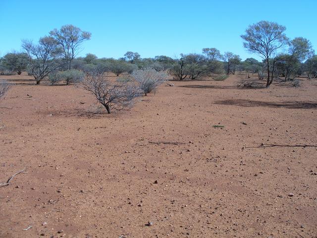 View of the confluence site